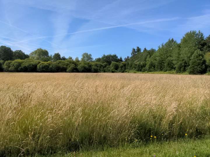 Prairies